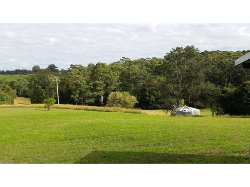 Newee Creek NSW 2447