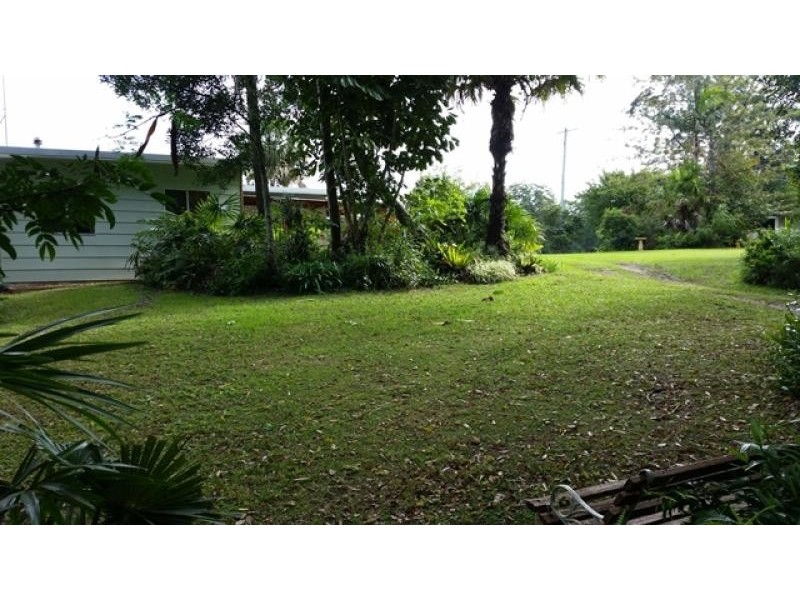 Newee Creek NSW 2447