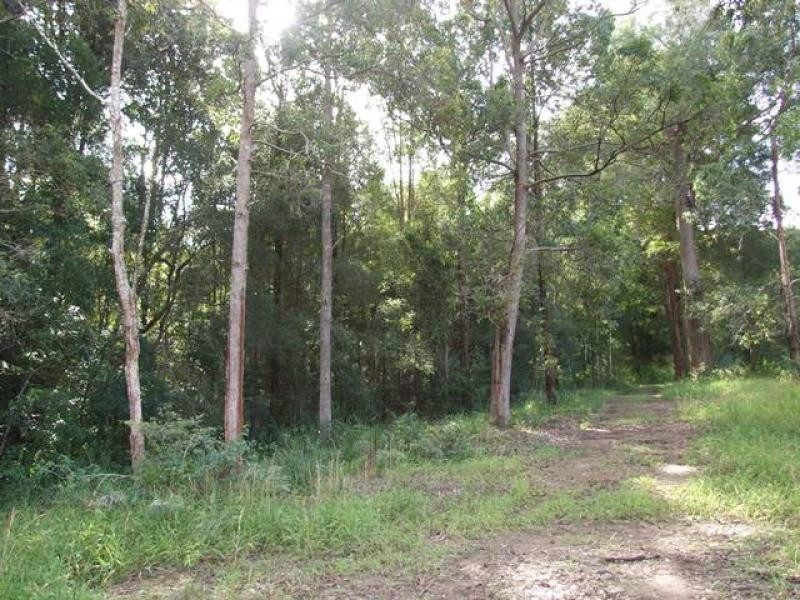 Newee Creek NSW 2447