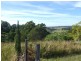 Argents Hill NSW 2449