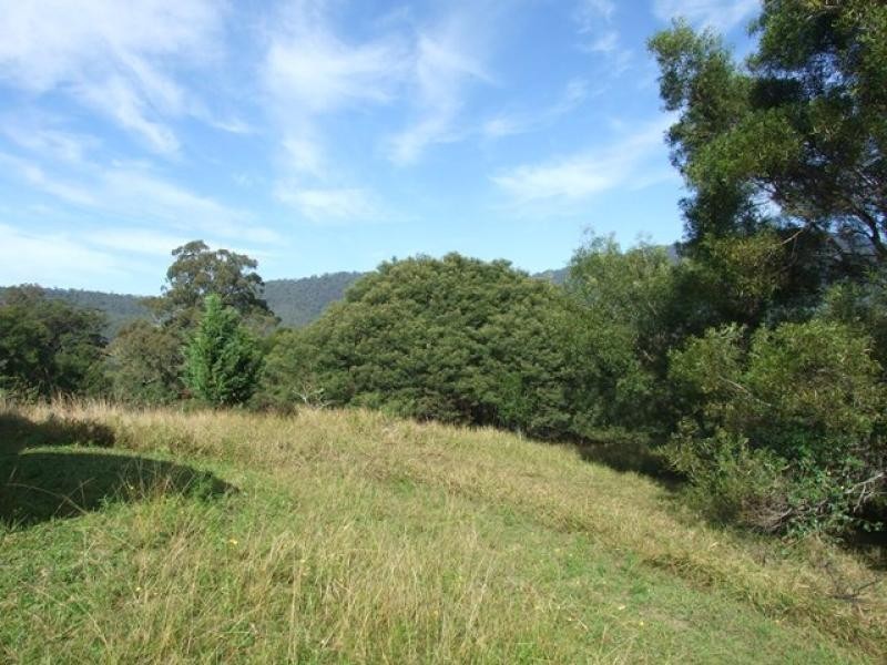 Argents Hill NSW 2449