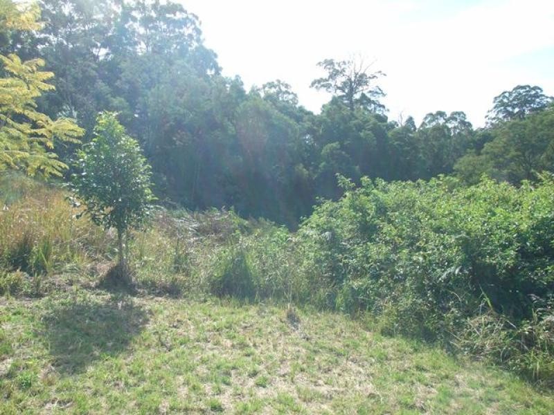 Argents Hill NSW 2449
