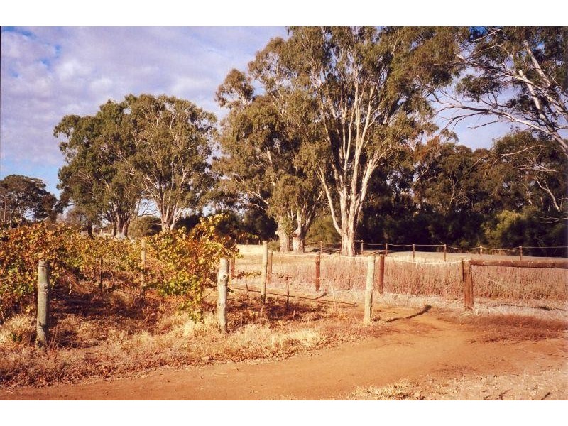 Lot 1 Kingston Street MINTARO 5415, Mintaro SA 5415