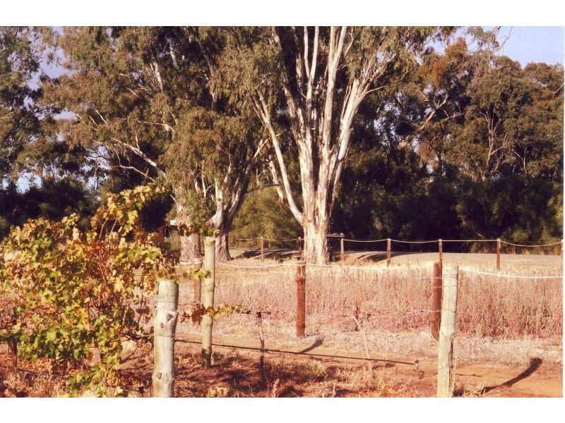 Lot 1 Kingston Street MINTARO 5415, Mintaro SA 5415