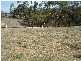 1 Newton Long  Drive CLARE 5453, Clare SA 5453