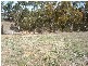 1 Newton Long  Drive CLARE 5453, Clare SA 5453