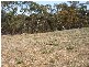 1 Newton Long  Drive CLARE 5453, Clare SA 5453