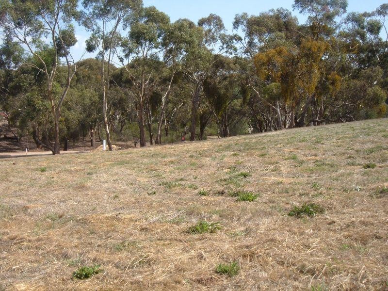 1 Newton Long  Drive CLARE 5453, Clare SA 5453
