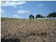 1 Newton Long  Drive CLARE 5453, Clare SA 5453
