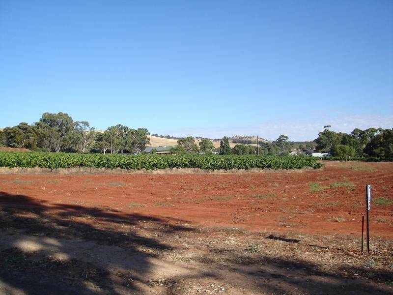 Lot 13 Hill Street MINTARO 5415, Mintaro SA 5415