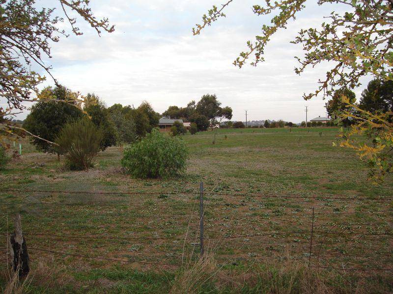 Lot 8 Burra Street MINTARO 5415, Mintaro SA 5415