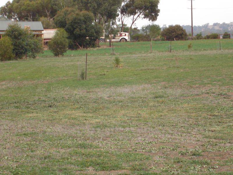 Lot 8 Burra Street MINTARO 5415, Mintaro SA 5415