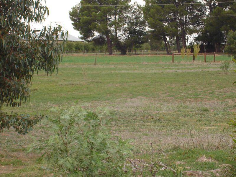 Lot 8 Burra Street MINTARO 5415, Mintaro SA 5415