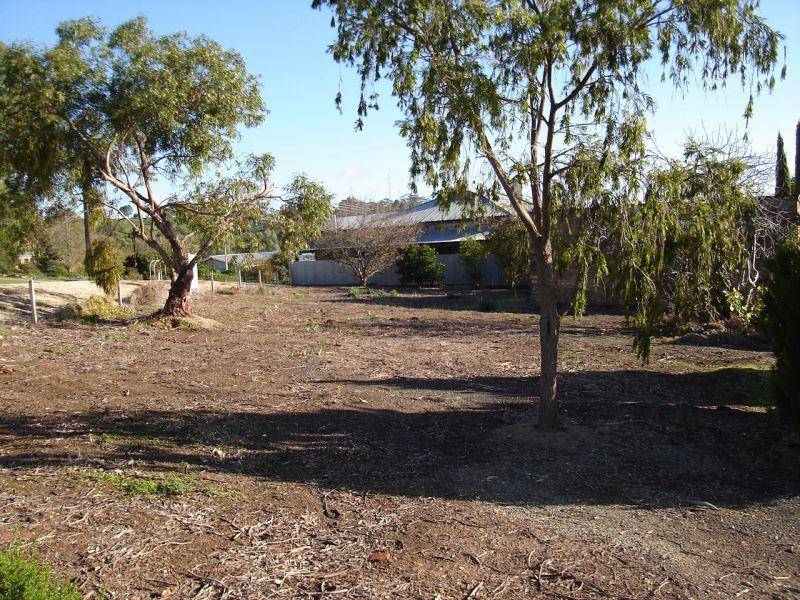 13 William Street  CLARE 5453, Clare SA 5453