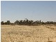 Lot 8 Railway Terrace  BALAKLAVA 5461, Balaklava SA 5461