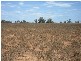 - Whitwarta Road  BALAKLAVA 5461, Balaklava SA 5461