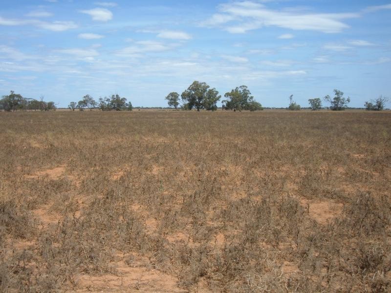 - Whitwarta Road  BALAKLAVA 5461, Balaklava SA 5461