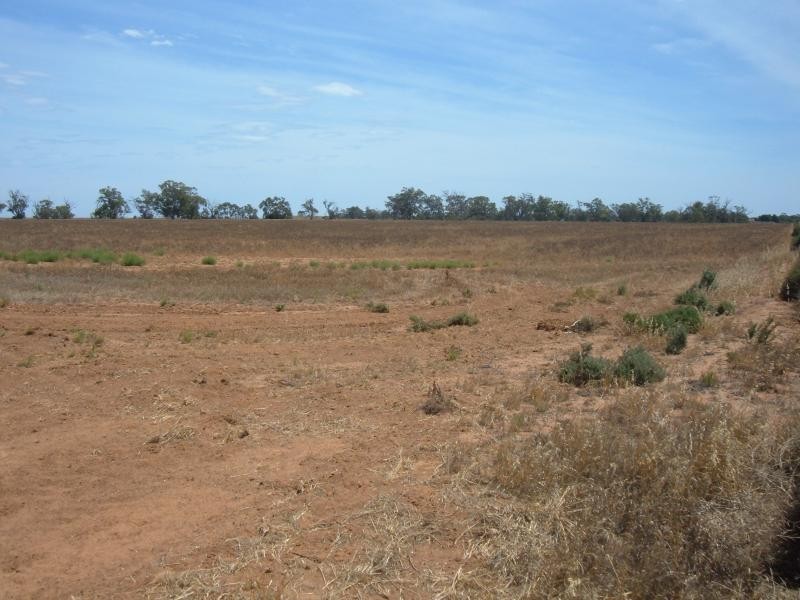- Whitwarta Road  BALAKLAVA 5461, Balaklava SA 5461