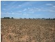 - Whitwarta Road  BALAKLAVA 5461, Balaklava SA 5461