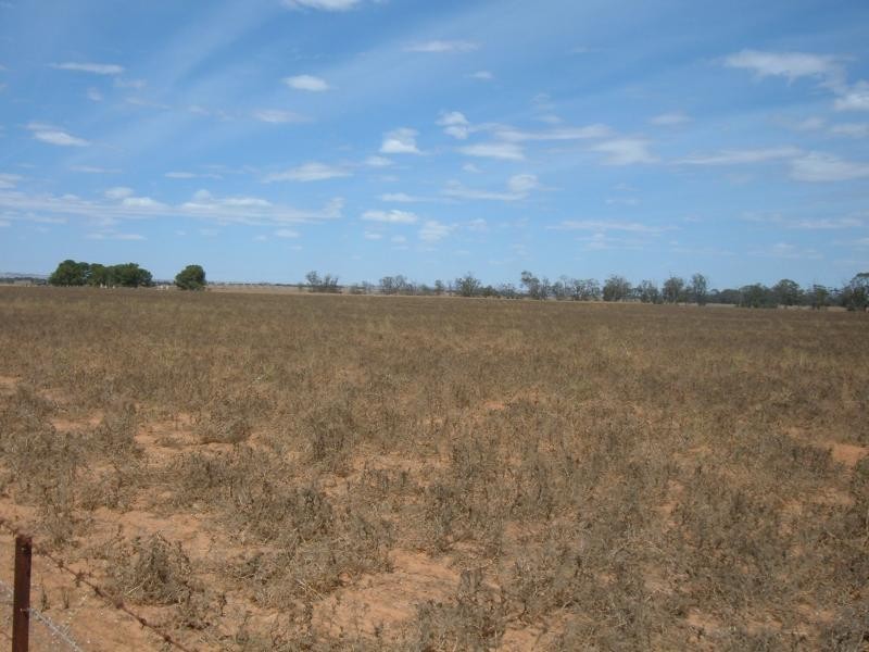 - Whitwarta Road  BALAKLAVA 5461, Balaklava SA 5461