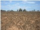 Section 17 Whitwarta Road  BALAKLAVA 5461, Balaklava SA 5461
