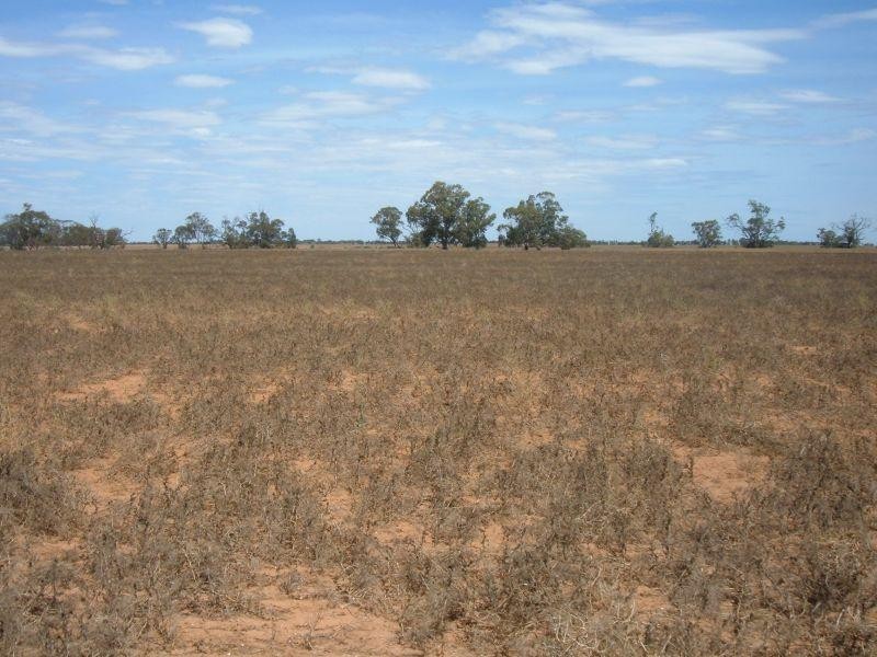 Section 17 Whitwarta Road  BALAKLAVA 5461, Balaklava SA 5461