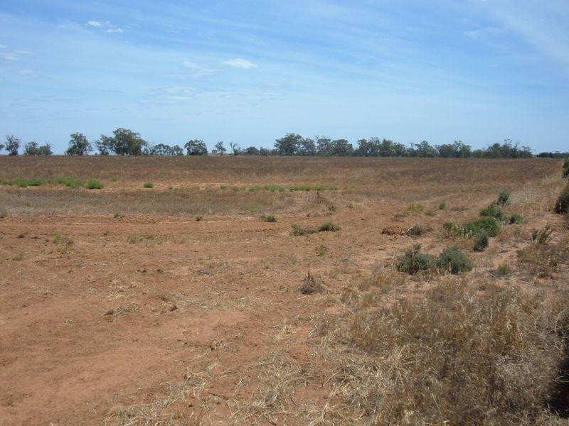 Section 17 Whitwarta Road  BALAKLAVA 5461, Balaklava SA 5461
