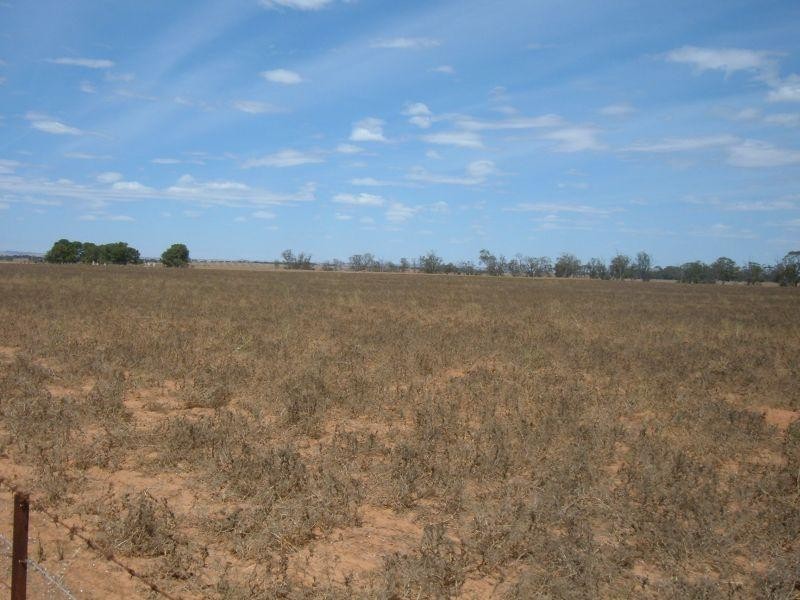 Section 17 Whitwarta Road  BALAKLAVA 5461, Balaklava SA 5461