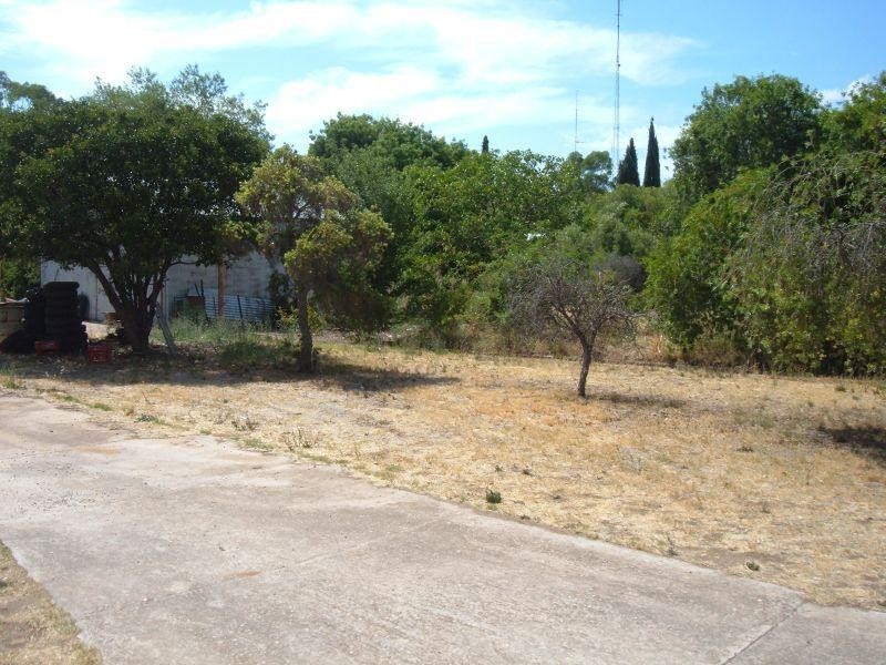 49 Agnes Street  CLARE 5453, Clare SA 5453