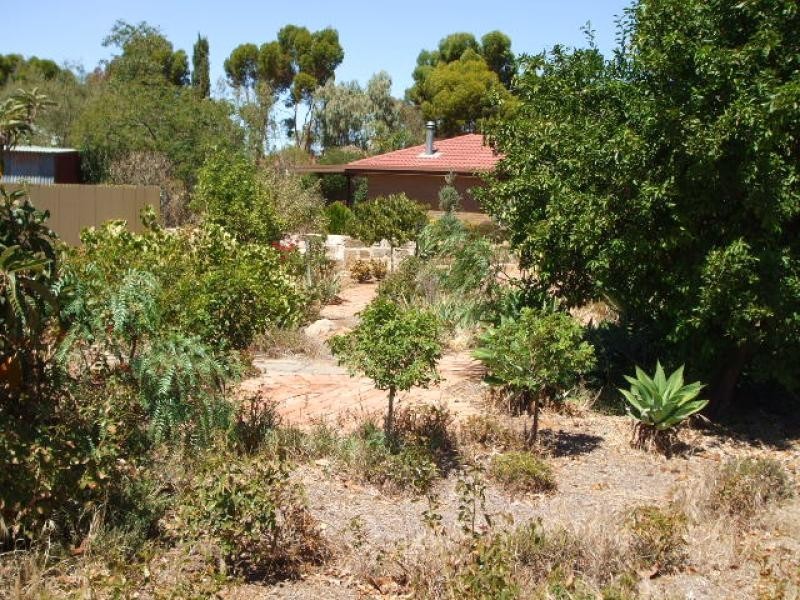 16 Francis Street  BALAKLAVA 5461, Balaklava SA 5461