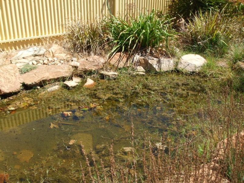 16 Francis Street  BALAKLAVA 5461, Balaklava SA 5461