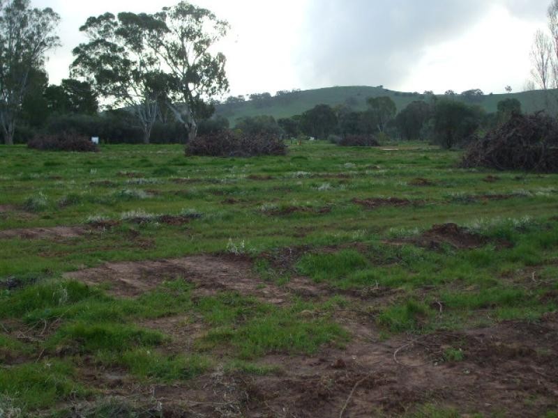 Lot 2 Torr Street MINTARO 5415, Mintaro SA 5415