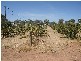Lot 2 Torr Street MINTARO 5415, Mintaro SA 5415