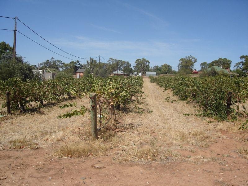 Lot 2 Torr Street MINTARO 5415, Mintaro SA 5415