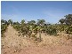 Lot 2 Torr Street MINTARO 5415, Mintaro SA 5415
