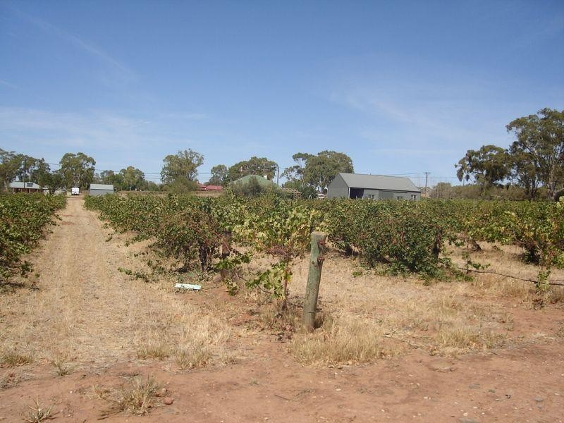 Lot 2 Torr Street MINTARO 5415, Mintaro SA 5415
