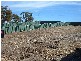 Newton Long Drive CLARE 5453, Clare SA 5453
