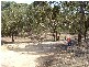 Newton Long Drive CLARE 5453, Clare SA 5453