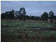 Lot 301 Globe Street AUBURN 5451, Auburn SA 5451