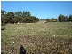 Lot 301 Globe Street AUBURN 5451, Auburn SA 5451