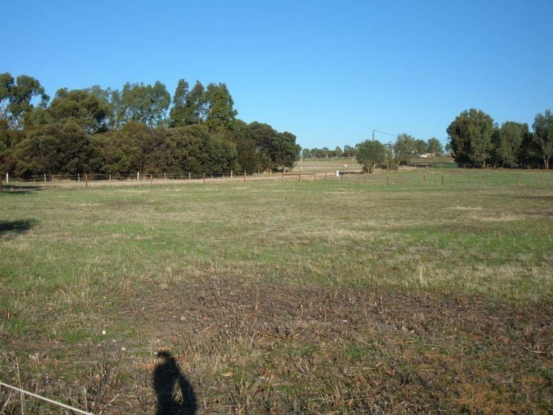 Lot 301 Globe Street AUBURN 5451, Auburn SA 5451
