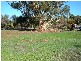 45 South Terrace  FARRELL FLAT 5416, Farrell Flat SA 5416