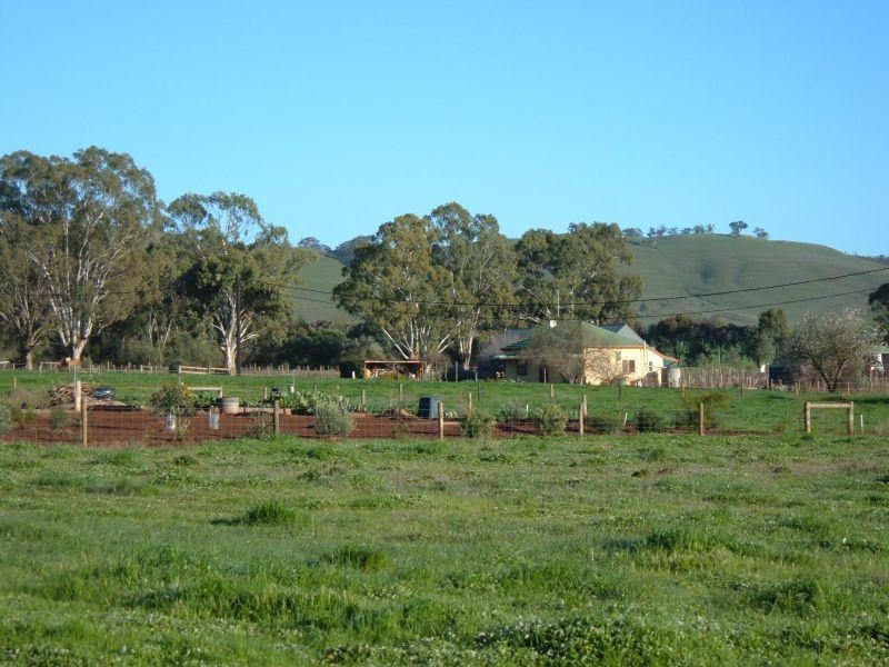 Lot 13 Hill Street  MINTARO 5415, Mintaro SA 5415