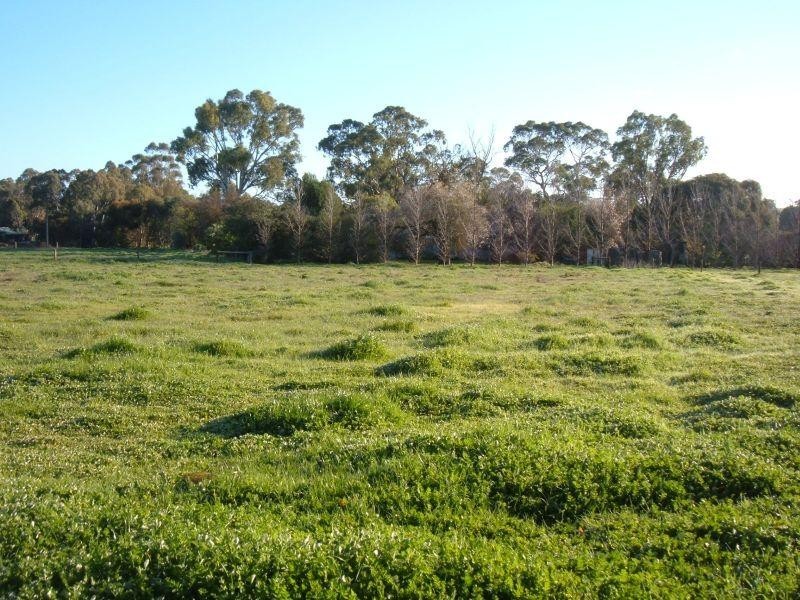 Lot 13 Hill Street  MINTARO 5415, Mintaro SA 5415