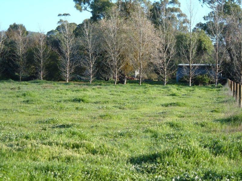 Lot 13 Hill Street  MINTARO 5415, Mintaro SA 5415