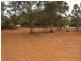 Lt41,42, Whitwarta  Road BALAKLAVA 5461, Balaklava SA 5461