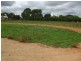 Lot 38 Florence Street BALAKLAVA 5461, Balaklava SA 5461