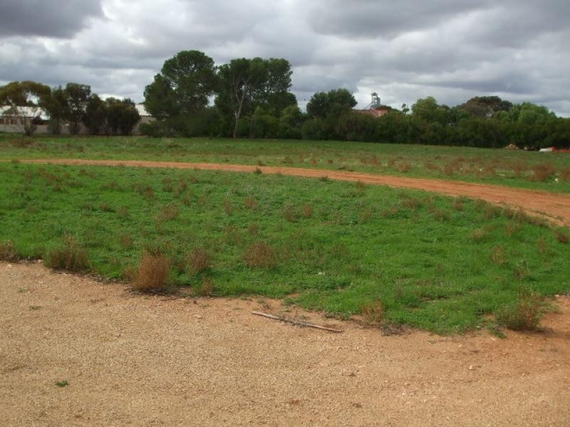 Lot 38 Florence Street BALAKLAVA 5461, Balaklava SA 5461
