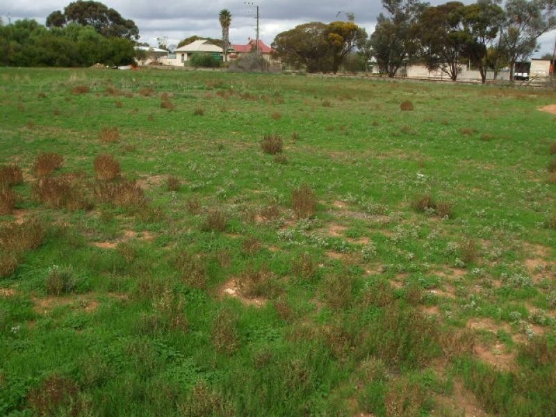 Lot 38 Florence Street BALAKLAVA 5461, Balaklava SA 5461