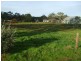 Lot 1 Corner Of Kingston & Torr Street MINTARO 5415, Mintaro SA 5415